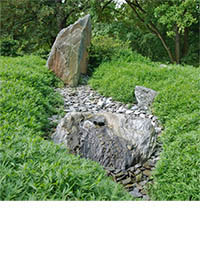 Produkt: Mc-Bambus Pleioblastus pygmaeus