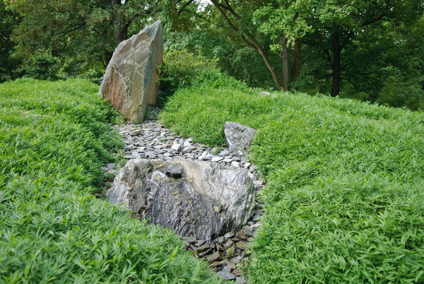 Mc-Bambus: Pleioblastus pygmaeus - Ort: Windeck